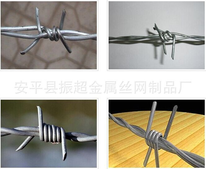 帶刺鐵絲網(wǎng) 有刺鐵絲網(wǎng)-安平縣振超金屬絲網(wǎng)制品廠