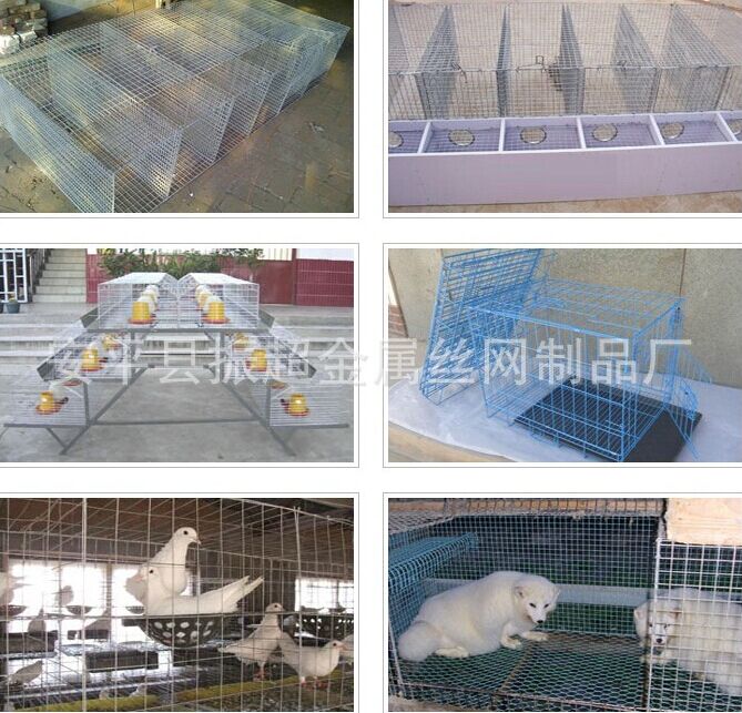 養(yǎng)殖電焊網(wǎng) 安平縣振超金屬絲網(wǎng)制品廠-www.985azk.cn