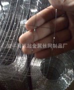 316不銹鋼電焊網(wǎng)