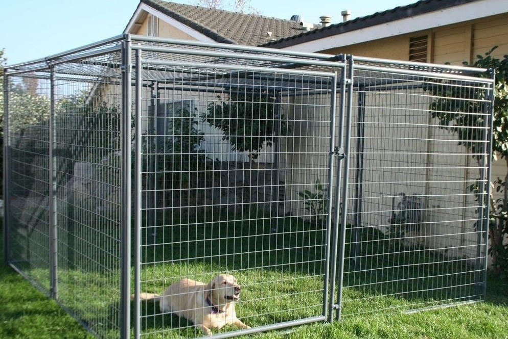 養(yǎng)狗用鐵絲網(wǎng) 鐵絲網(wǎng)籠-安平縣振超金屬絲網(wǎng)制品廠