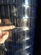 綠皮鐵絲網(wǎng)貓膩多多選購(gòu)要謹(jǐn)慎